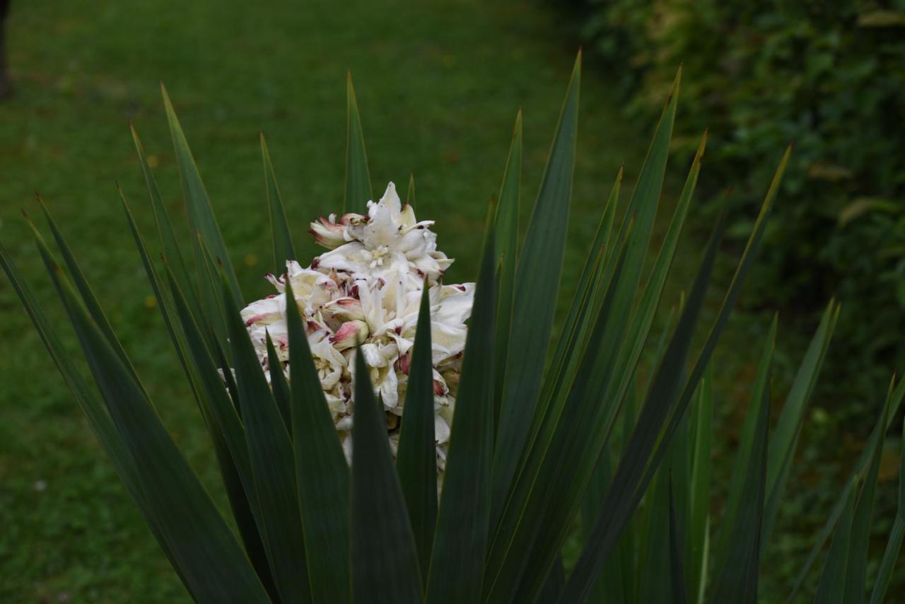 Hotel Roemerhof Pratteln Bagian luar foto